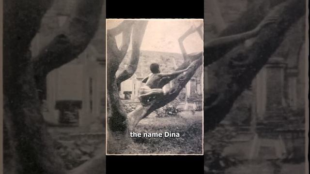 The Original Jungle Book ? (sad)