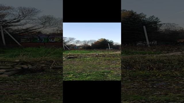 Измельчение порубочных остатков Солнечногорск