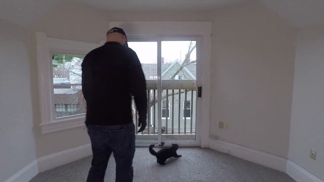 Abandoned Cat Rescue: Owner Left Cat To Die in Landlord's House | Tenants From Hell 39