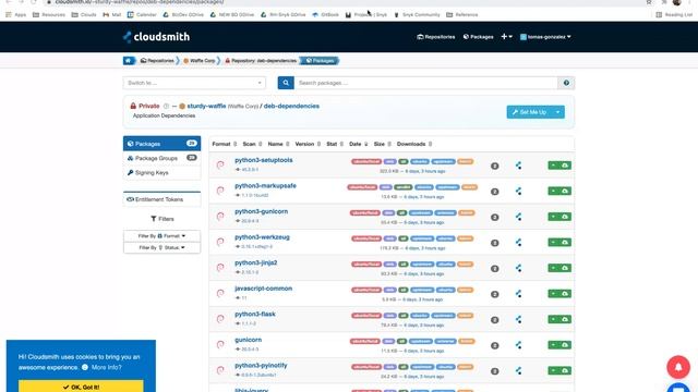 LF Live Webinar: Continuous...Everything? Integration, Packaging, Delivery, and Security All in One