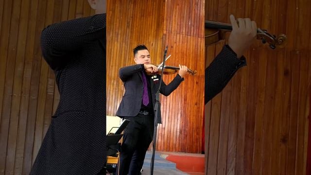Can't Help Falling In Love |violin Cover|by Vilhou Kezo | #wedding