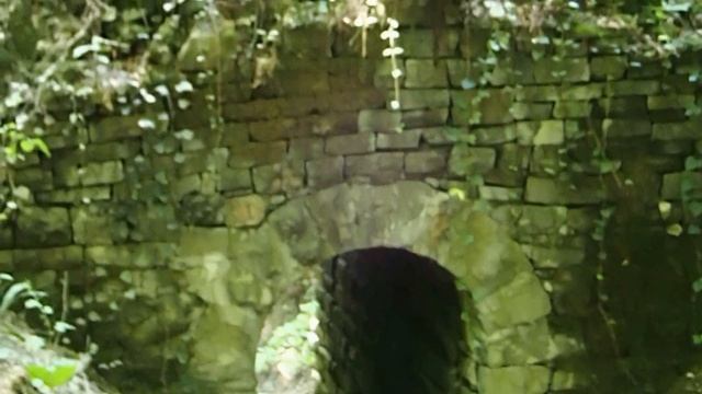 Старая дорога с каменными мостами в лесу