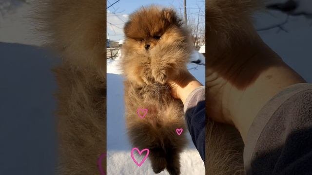YouCut_20240210_211428645.mp4