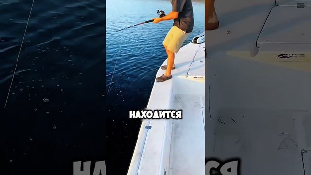 Этот парень вытащил из реки настоящего монстра! 😱