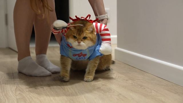 Happy Halloween!