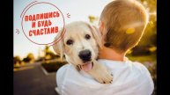 Сунул палец не туда. Новый анекдот.