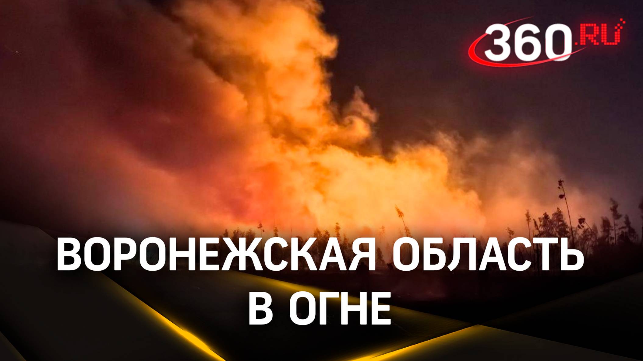 Лавина огня идет на дома: лесные пожары выжигают Воронежскую область – пламя тушат сотни спасателей