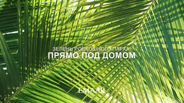 Апартаменты Emaar Beachfront: Скоро старт продаж в новой башне 🔥