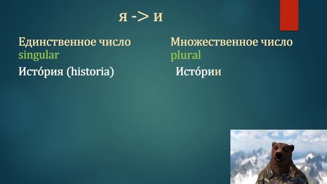 El número de los sustantivos - aprende ruso con el oso Boris