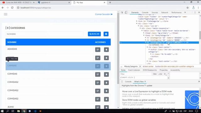 Curso de JAVA WEB - 11 CRUD Tabla Categoría 7/7 DAO