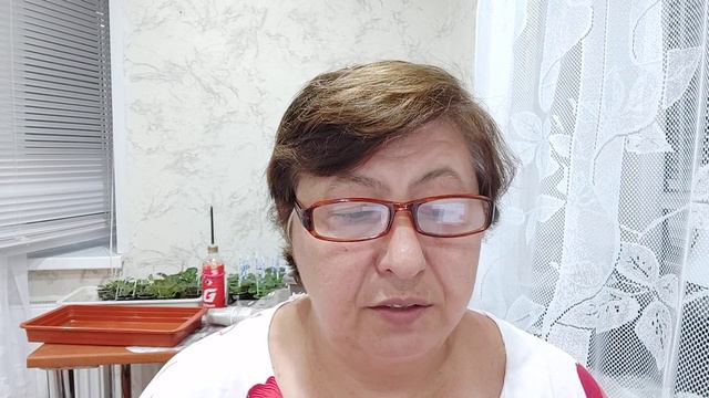 Вакцинация детей. Итоги опроса по вакцинации взрослых.