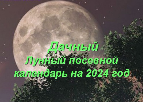 Лунный посевной календарь на июнь 2024, календарь огородника