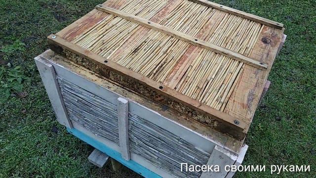 23.01.2021 НОВЫЕ ПОТЕРИ ПЧЕЛОСЕМЕЙ. Осмотр пасеки, подкормка пчёл + непонятное поведение пчелосемьи