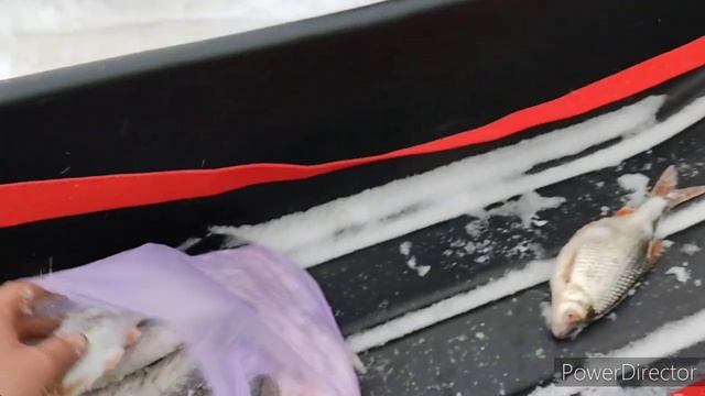 Яузкое водохранилище база Ястребы