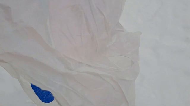 Мы не с одной Дашей на горке. Я спускаюсь неправильно на подпопнике. С нами еще один собак - хвости