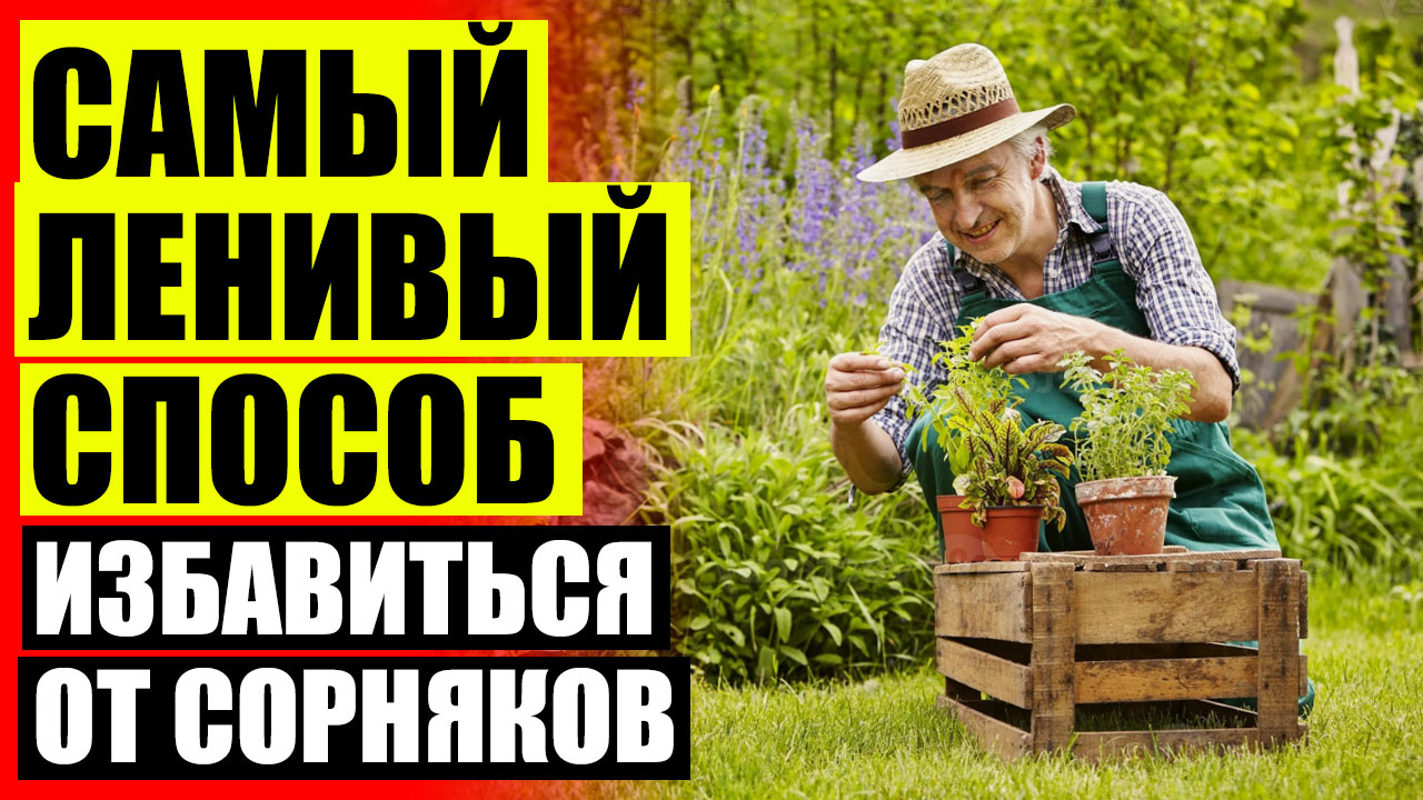⚫ Пестициды для уничтожения сорняков 💯