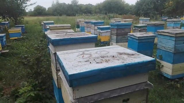 14 августа Медовый Спас. Всех с Праздником.