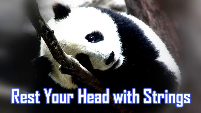 Rest Your Head with Strings -- PianoStringsBackground -- Royalty Free Music