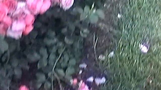 Katya Rainnezy  Я прорастаю с цветами Official Video