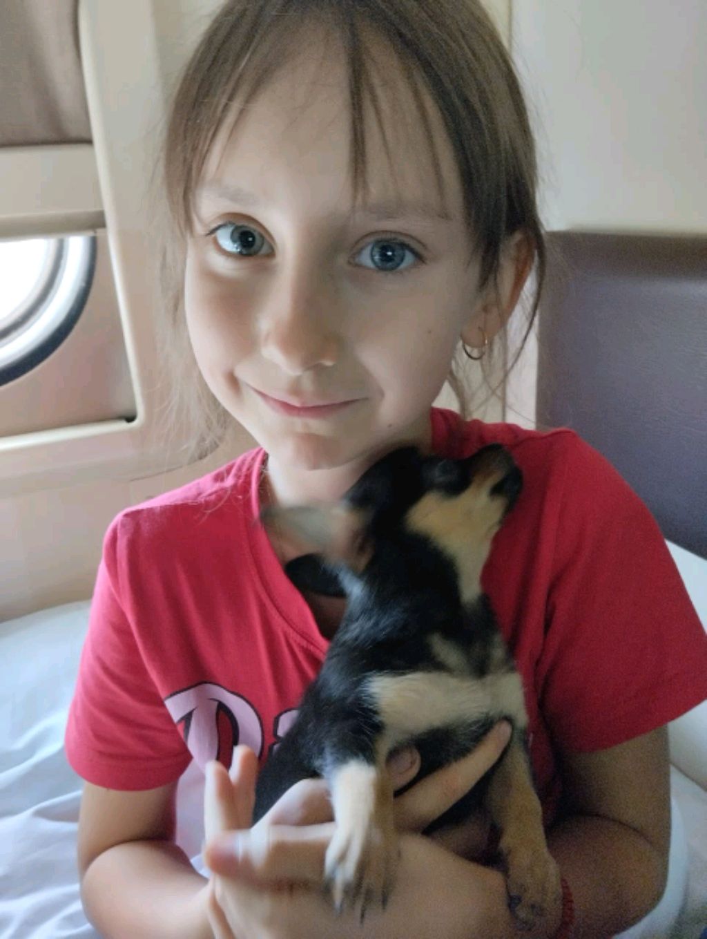 Скорей Сюда