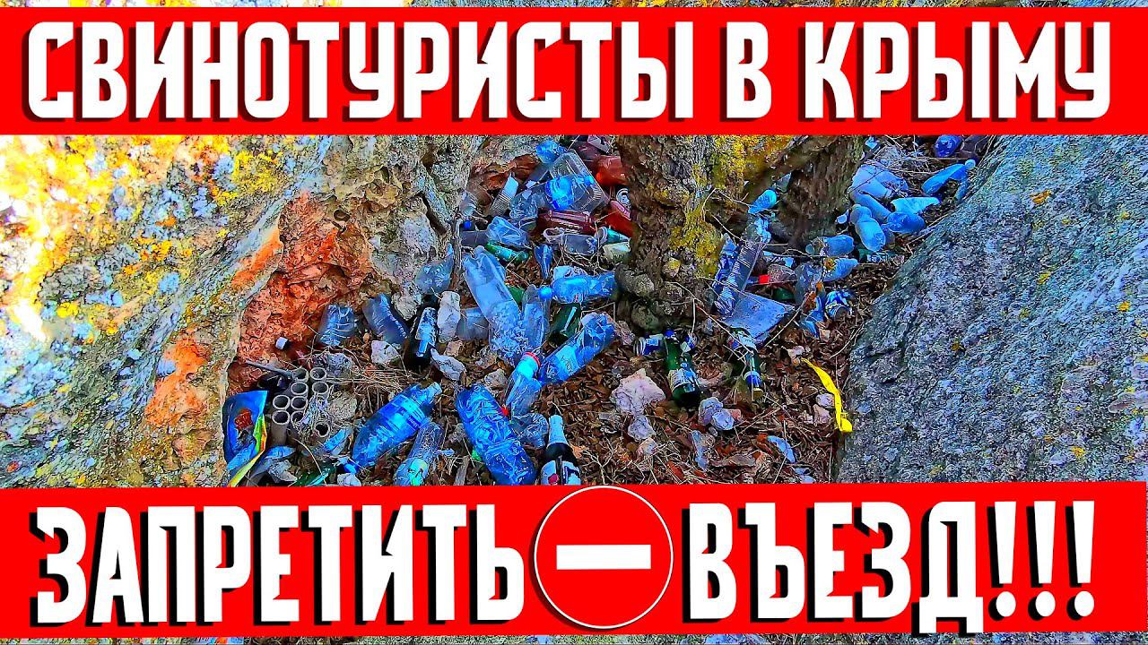 КАК ПОНАЕХАВШИЕ СВИНОТУРИСТЫ ОТДЫХАЮТ В КРЫМУ?