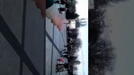 Керчь это днище ,так школьники сказали.Правда Шарий.(1)