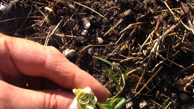 Обзор каменистой горка на 22 апреля.