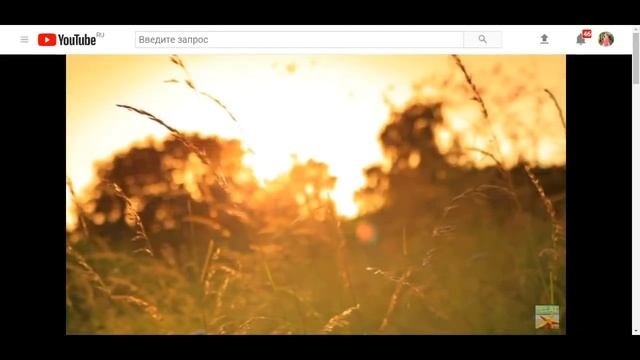 Правда об образовании в школе и вузе Dislive