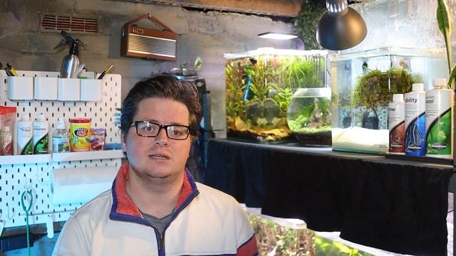 The ULTIMATE Aquarium Water Conditioner Comparison!