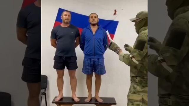 Слава украине или от чего так в России берёзы шумят)