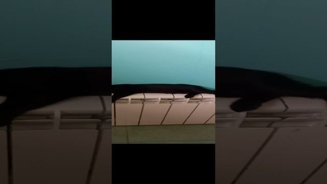 ребристая батарея