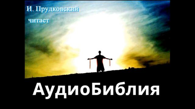 5 глава Евангелие от Иоанна.  МСЦ ЕХБ. Читает Илья Прудовский.