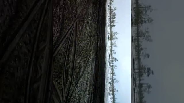 Погрузка  снегохода