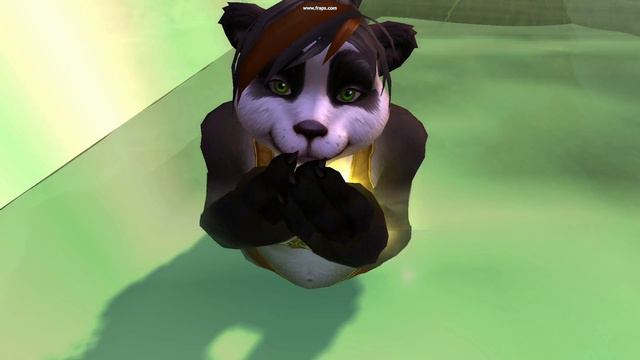 Pandaren in love - Bärenliebe und andere Emotes (World of Warcraft Machinima)