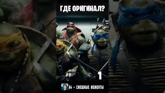 МС МОЙКИ