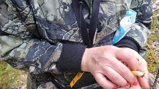 Грибы пошли после дождей! И как они растут!!!