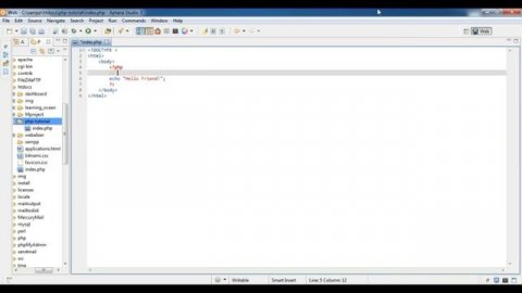 How To Use Comments In PHP | PHP Tutorial for Beginners In Hindi - 4