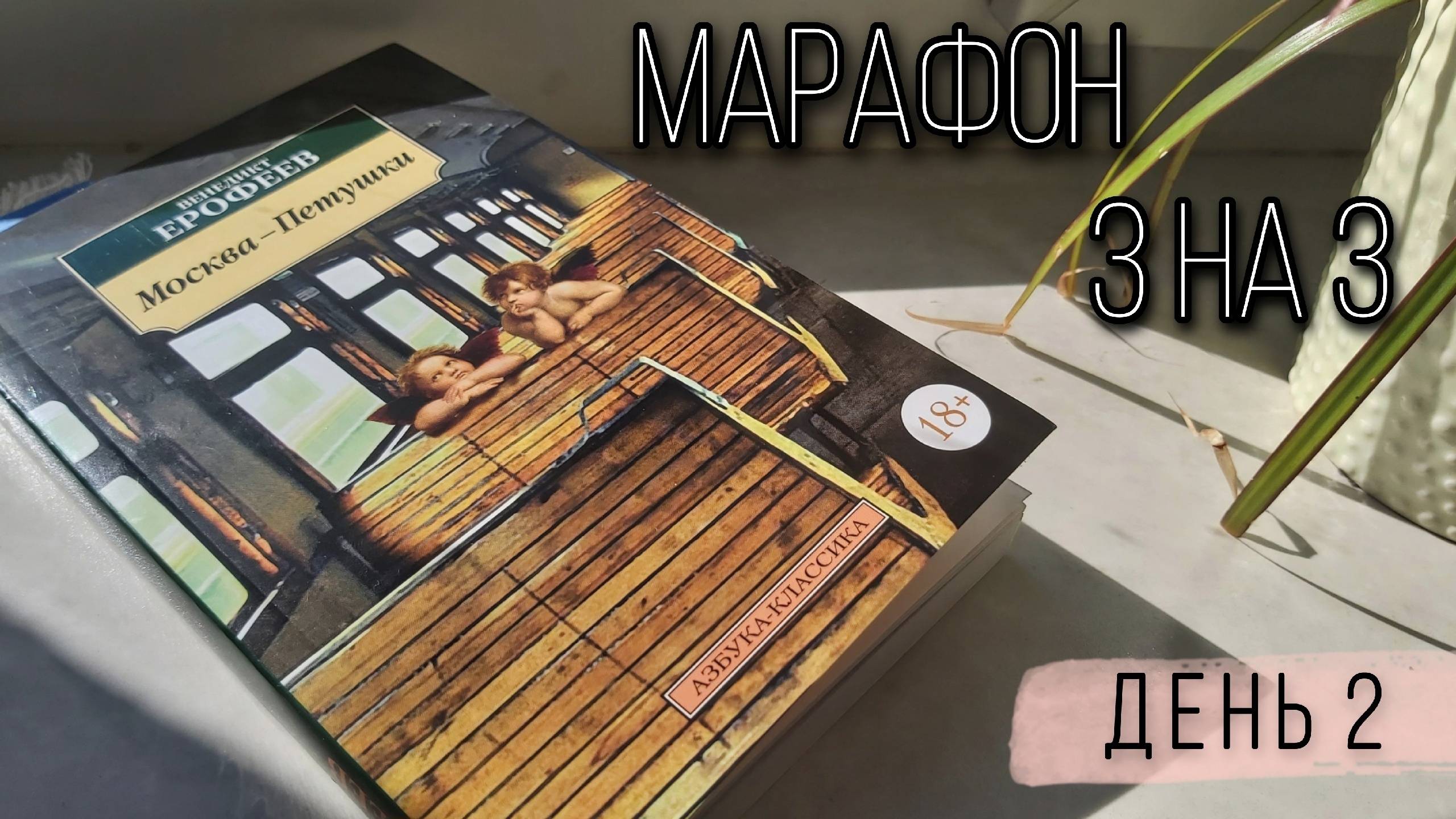МАРАФОН 3 НА 3 📖💥 __ день 2 🍁 читаю про алкаша в электричке !_