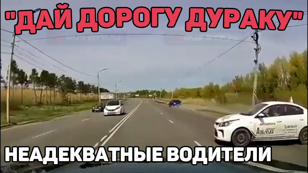 Автоподборка "Дай Дорогу Дураку"Неадекватные Водители#387