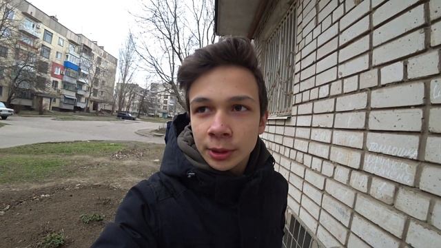 На меня напала стая собак!