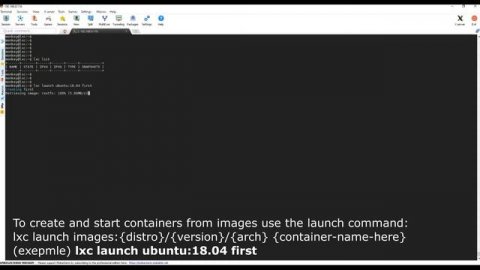 Install LXD pure-container hypervisor