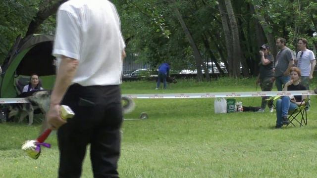Сравнение на ЛС