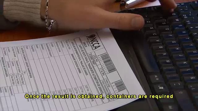 6 Company management