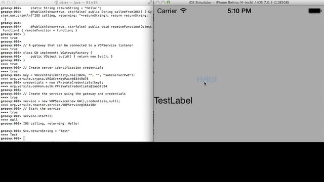 IOS Java App (RoboVM) communicating with server (Versile)