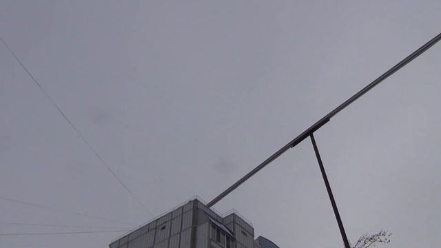 Первая потеря в новом году.