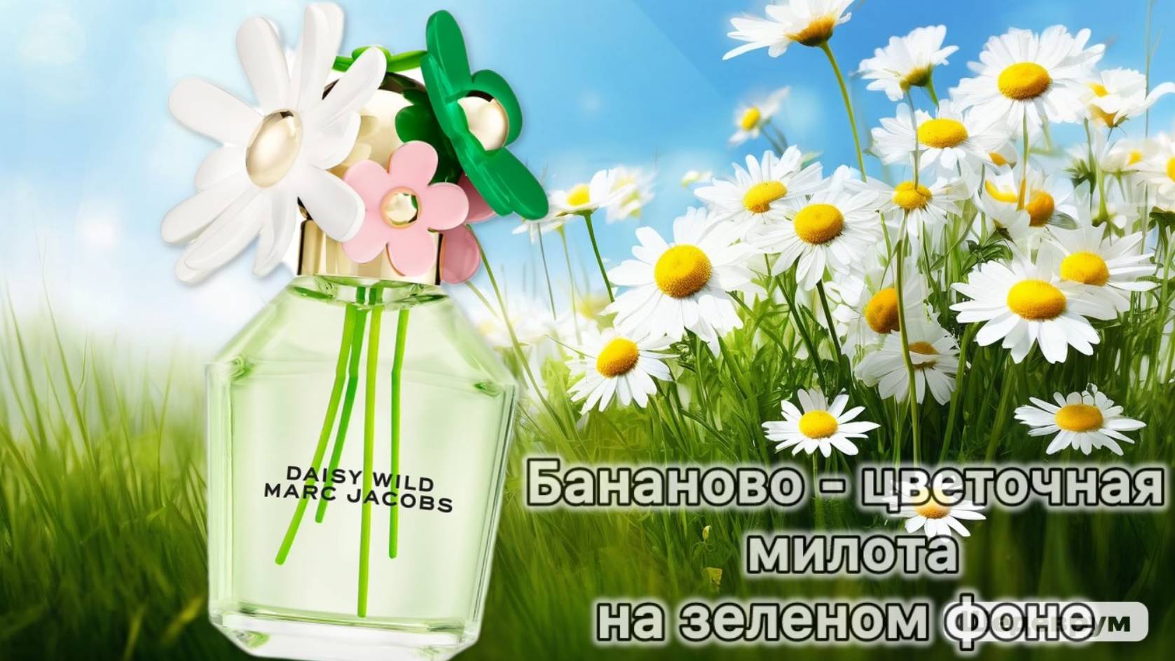 Встретила по одёжке... А что было дальше - увидите сами! Daisy Wild Marc Jacobs.