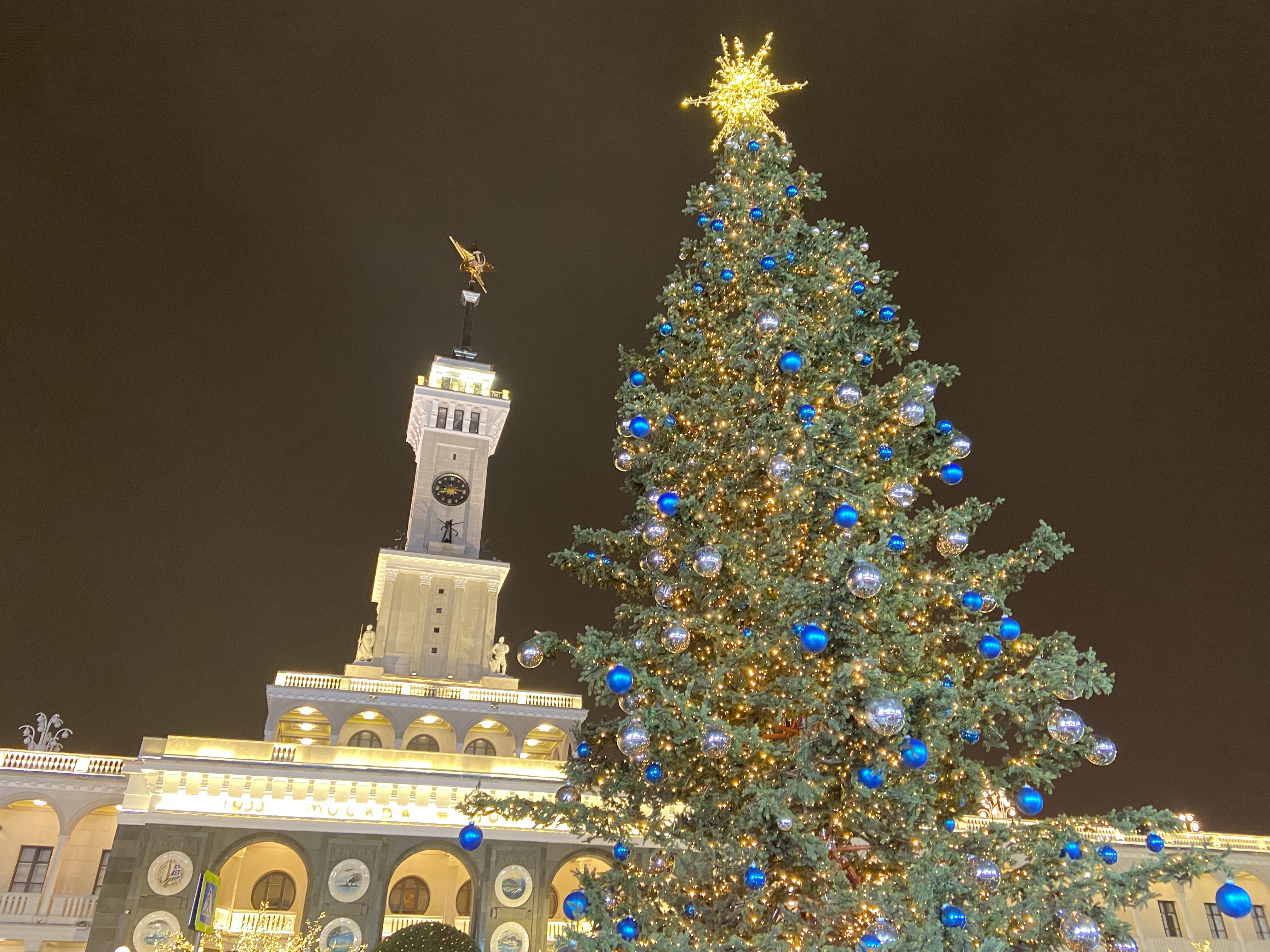 Много дизайнерских ёлок в Москве! Праздничные украшения столицы!