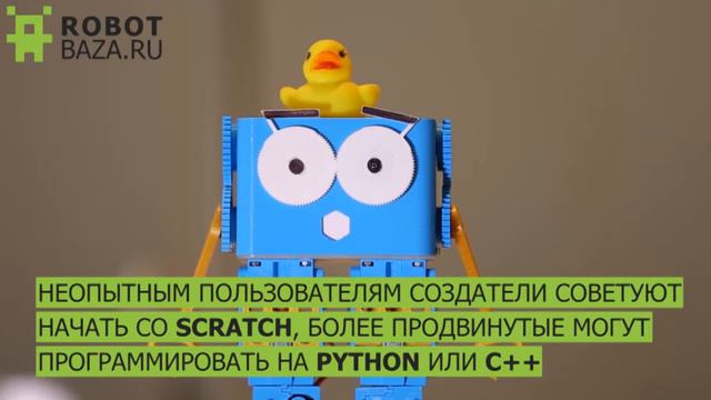 Обучающий робот Марти