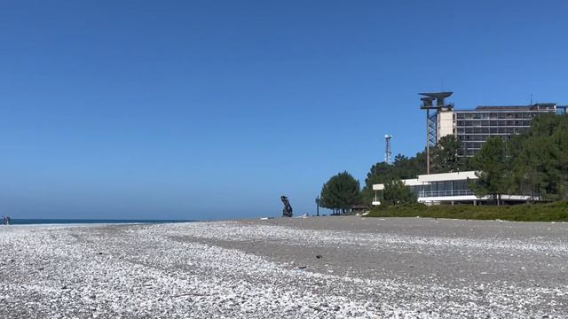 Абхазия, пансионат Пицунда. Дельфины, море, прогулка по набережной .