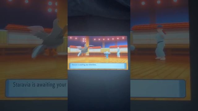 Pokémon brilliant diamond gym battle karate master